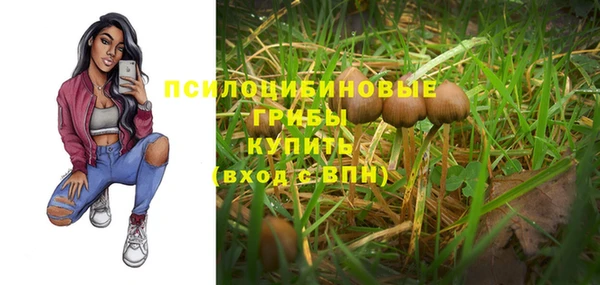 соль ск Нефтегорск