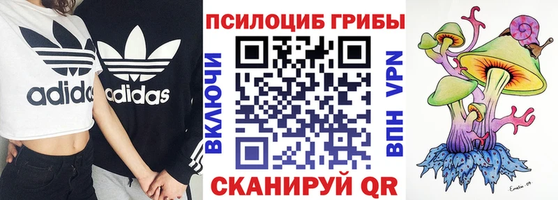 Псилоцибиновые грибы MAGIC MUSHROOMS  Андреаполь 
